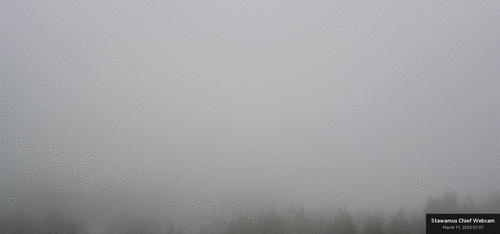Timelapse preview for March 11th, 2025 (Tuesday)