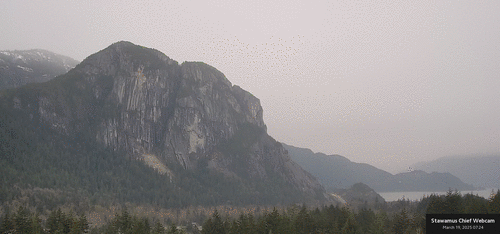 Timelapse preview for March 19th, 2025 (Wednesday)