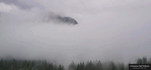 Timelapse preview for February 22nd, 2026 (Sunday)